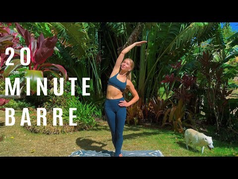 20 Minute Barre Workout - No Equipment