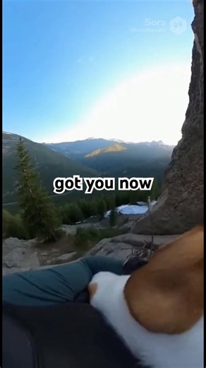 Man saves dog from eagle!❤️🙏 #animals #rescue #wholesome