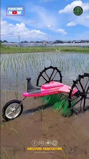 Driverless Fully Automated Weeding Machine