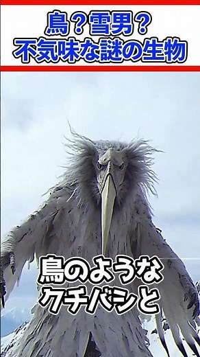 【1分で解説】TikTokで話題の謎の生物「Erosion Bird / Lamfit Bird」とは? #shorts #海外ミーム #erosionbird