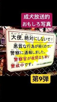 【面白写真】おもしろ画像にツッコめ！第9弾【完全オリジナル】#写真#おもしろ画像#面白画像#おもしろ写真#画像#ツッコミ#ボケ#ドッキリ#カラス#烏#撤去#スタッフ募集中#スタッフ募集#警察#注意書き
