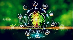 Botany Icon Concept Green environment with Center and spoke Concept ,Plant on center and rotating Icons