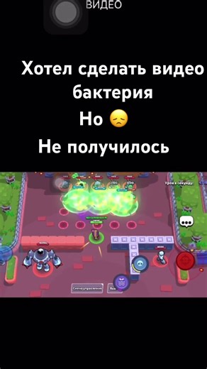 Bakteria