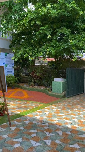 Nahuhulog na yung mga bulaklak ng narra! 💛🌳 📍NARRA (Pterocarpus indicus) Ang Narra ay isa sa mga paboritong native trees sa Pilipinas. Tuwing panahon ng pamumulaklak nito, napupuno ito ng napakabango, kapansin-pansin at matitingkad na dilaw na mga bulaklak. #philippinenativetrees #KaliboAklan #narra #LezoAklan #fypシ #fypシ゚viral #reelsfypシ#aklanongmanggugubat | Aklanong Manggugubat