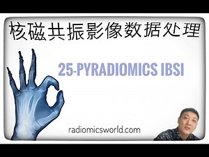 【核磁共振影像数据处理】【影像组学番外篇】|PyRadiomics提取影像组学特征不符合IBSI？怎么办？