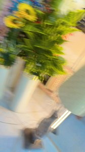 2.2M views · 31K reactions | 5 fit pink flower plant ✨♥️Book your l now ‼️For Booking and Detail's Contact Us On WhatsApp Link in profile bio‼️#giftwaly #junaidgiftcenter #jbshop #forpage❤️ #viralvideo | Junaid Rajput | Facebook