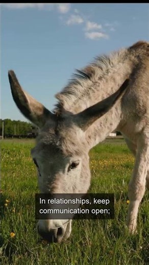 Daily Horoscope | Taurus 🌟