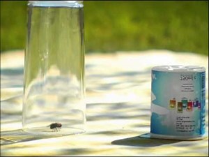 Minuscule.S01E24..Picnic