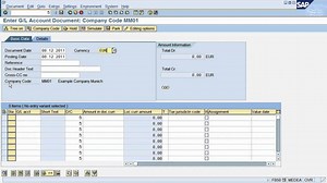 Sap Financial Accounting