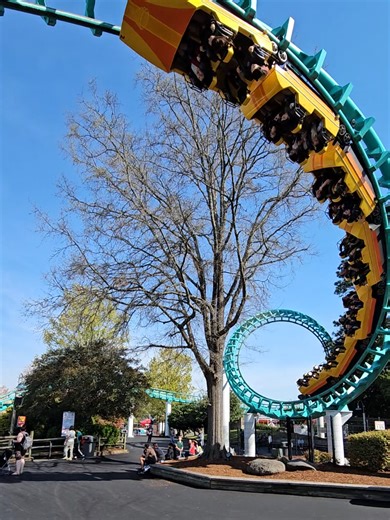 Carolina Cyclone: A Must-Ride at Carowinds