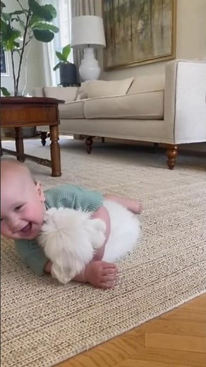 Baby's Favorite Playmate 💙 | Maltese Puppy Fun 🐶 | Sweet Togetherness ✨