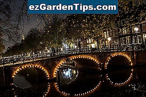 L'histoire des fruits d'orange 🌱 Conseils Jardiniers - Fr.ezGardenTips.com