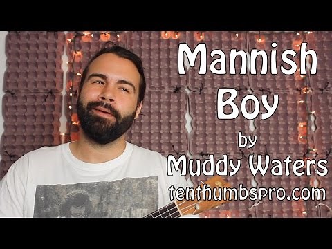 Mannish Boy - Muddy Waters - Easy Beginner Blues Lick Ukulele Tutorial
