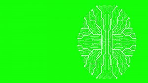 Download Brain animated like a circuit board. Green screen. for free