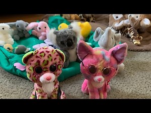 Beanie boos go on a safari#beanieboo #funny #cute #beanie #beanieboos #safari #Animal#StuffedAnimals