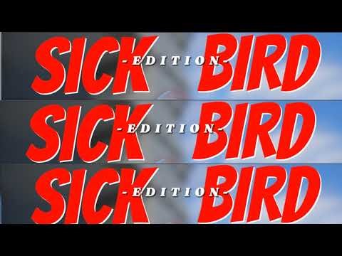 Public Press Live - Window Shopping Walk #firstamendmentaudit