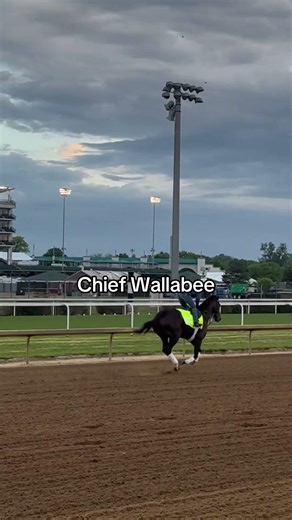They didn’t just grow up… they leveled up 🌹🐎Foals to 2026 Kentucky Derby contenders.