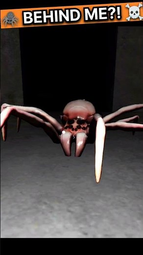 Wrong Spider Attacked Me 😱 | Spider Horror Game