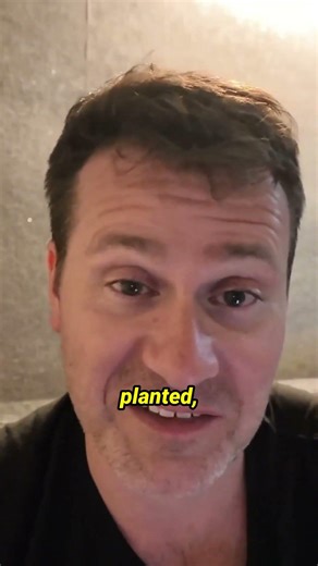 Scan a QR code. Learn every detail about a city tree.