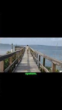 Cedar Key: The Florida Town Where Systems Disappear #Shorts