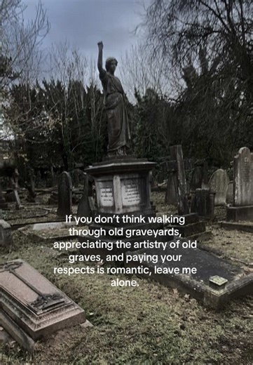 So morbidly romantic #gothic #graveyards #romantic #witchtok #ethelcain