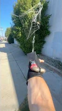 Everything I Built in 2025