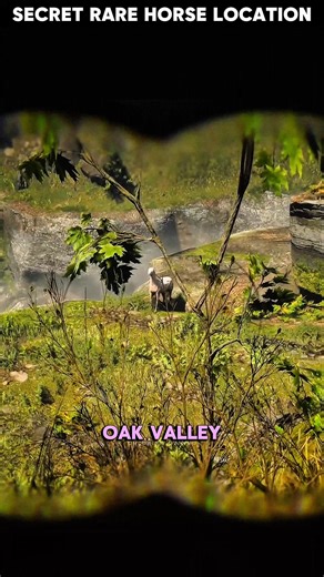 Here is the exact map location for the rare Perlino Andalusian horse in Red Dead Redemption 2. Found near the Brandywine Drop waterfall, this horse has amazing health stats and a unique coat. Get it for free in the wild! #rdr2 #reddeadredemption2 #rarehorse #andalusian #gaming #rockstargames #rdr2guide #shorts | Chlorine Gaming