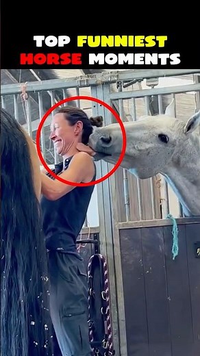 Try Not To Laugh: Crazy Horse Moments 🤣