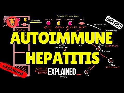Autoimmune Hepatitis EXPLAINED: Pathogenesis, Symptoms, Diagnosis & Treatment (USMLE High-Yield)