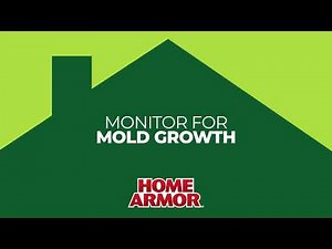How to Use Home Armor DIY Mold Test Kit