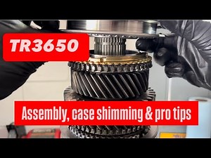 TR3650 mustang 5 speed transmission rebuild assembly