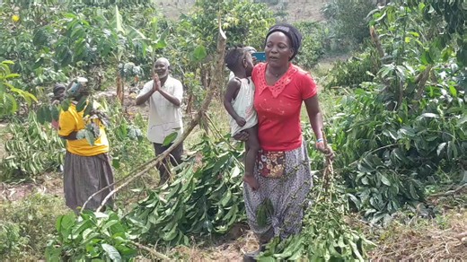 peter m (@peter.mvm)’s videos with original sound - peter m