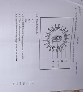 ### Study the diagram of a virus and answer the following quest... | Filo