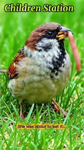 Milli And Hungry Friend|@ChildrenStation-1