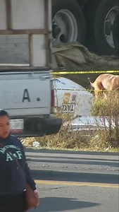 🔴🥺Martín iba de pasajero en taxi pero murió al chocar contra camioneta en la Toluca Zitácuaro El accidente se registró en el kilómetro 15, en la comunidad de Tres Barrancas en #AlmoloyadeJuárez. El hombre de 27 años, quedó en los asientos traseros de un Nissan Drive con cromática del servicio público que cayó a un canal. Al lugar llegaron paramédicos de Protección Civil municipal a confirmar el deceso del usuario, el chofer no fue encontrado en el sitio. La Guardia Nacional resguardó la escena