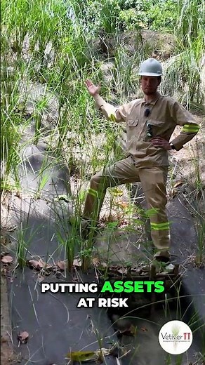 Check Dams: Controlling Erosion and Preventing Gullies #shorts