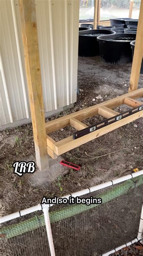 Outside Fish Racks going into Screened in Enclosure #fishkeepinghobby #aquariumkeeping #aquariumfish