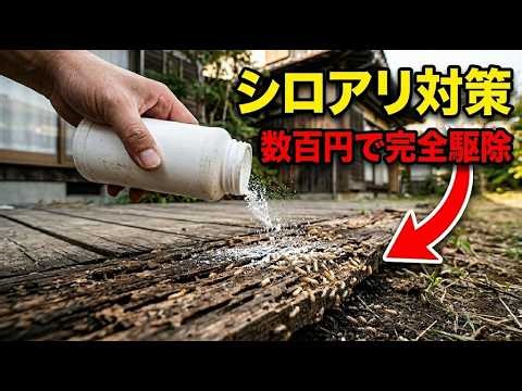 【シロアリ対策】数百円の白い粉。梅雨前に知っておきたい木の家を守る古い知恵！