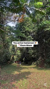 621K views · 10K reactions | Ekom Nkam Waterfall ; The Gem of Cameroon  Would you have thought this is Cameroon ? Cascade d’Ekom Nkam ; Le joyau du Cameroun  Auriez-vous pensé que c’était le Cameroun  ?#travelcameroon #cameroon #travel #tourism #trip | Travelcameroon | Facebook