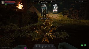 Citadel: Forged with Fire - Level 1~20 Beginner's Tips Guide