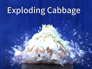 Exploding Cabbage250928 high-speed camera video