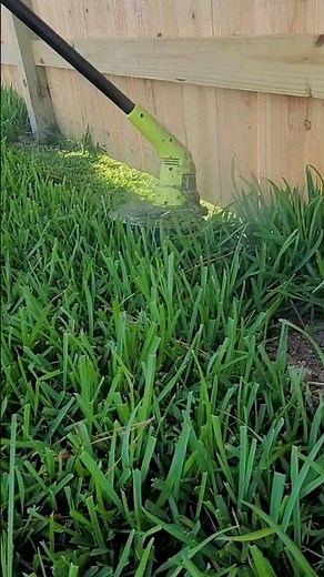 Ryobi 40V 12 in. Cordless Battery String Trimmer - Tall Grass Test
