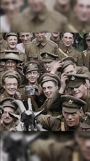 One Trick Pony | They Shall Not Grow Old (2018) #moviereview #movierating #documentary