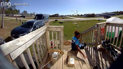 Hearts Melt As Delivery Driver Stops To Pet Cat