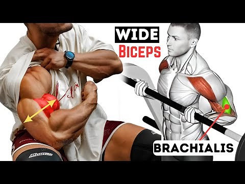 Brachialis Workout: 6 Exercises for Wider Biceps Gains