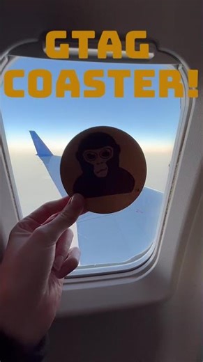 Gorilla tag on a plane!