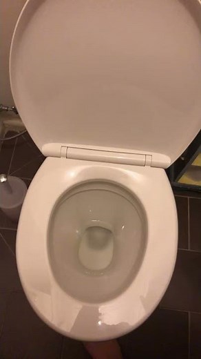 Toilet flush in Australia