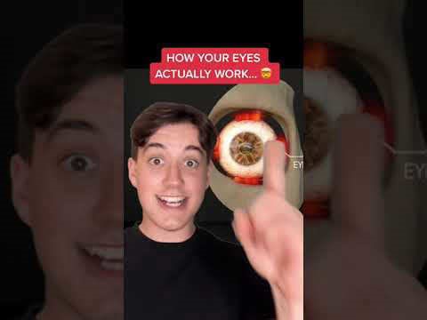 How the human eye actually processes light and color