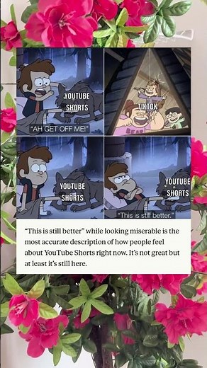 YouTube Shorts vs TikTok Summed Up In One Meme #youtube #tiktok