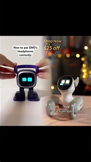 EMO robot Tutorial